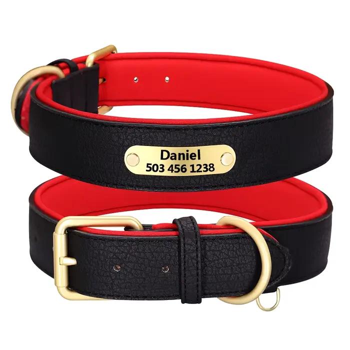 Collier de chien gravé personnalisé colliers de chiens rembourrés en cuir avec étiquette de plaque d