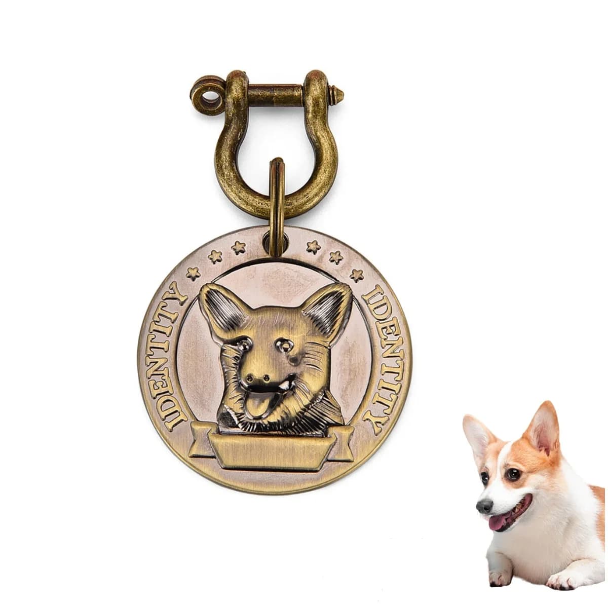 Pendentif d'identification personnalisé pour collier de chien, numéro d'adresse VIP, étiquette d'ide