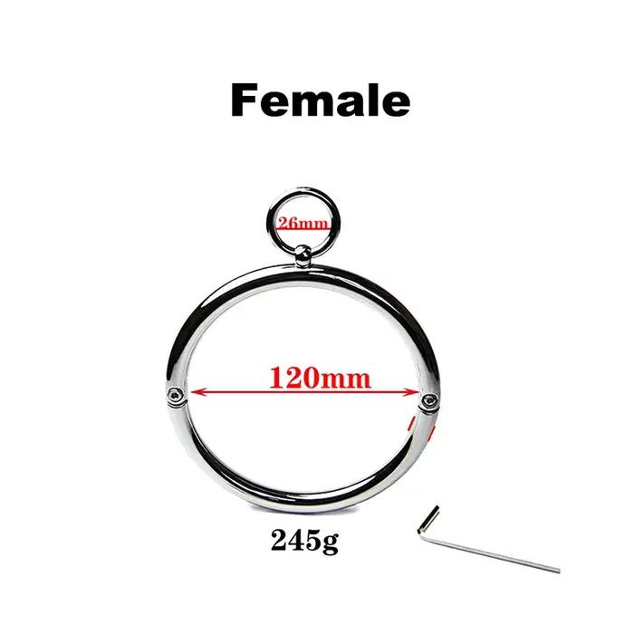 Collier épais en acier inoxydable pour hommes et femmes, manchon de cou en métal, serrure, chien esc