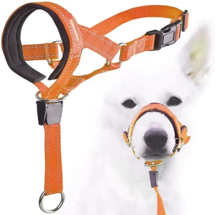 Créatif chien licou Halti formation tête collier doux Leader harnais en Nylon détachable toutes les saisons utile harnais plomb chaud