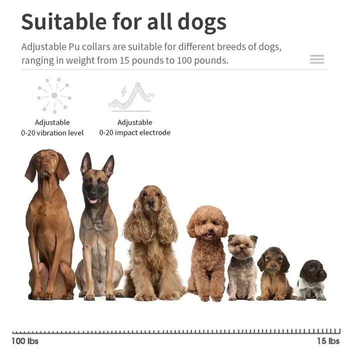 Collier anti-aboiement électrique pour animaux de compagnie, rechargeable par USB, collier de dressage à choc statique sûr et humain, fournitures pour animaux de compagnie
