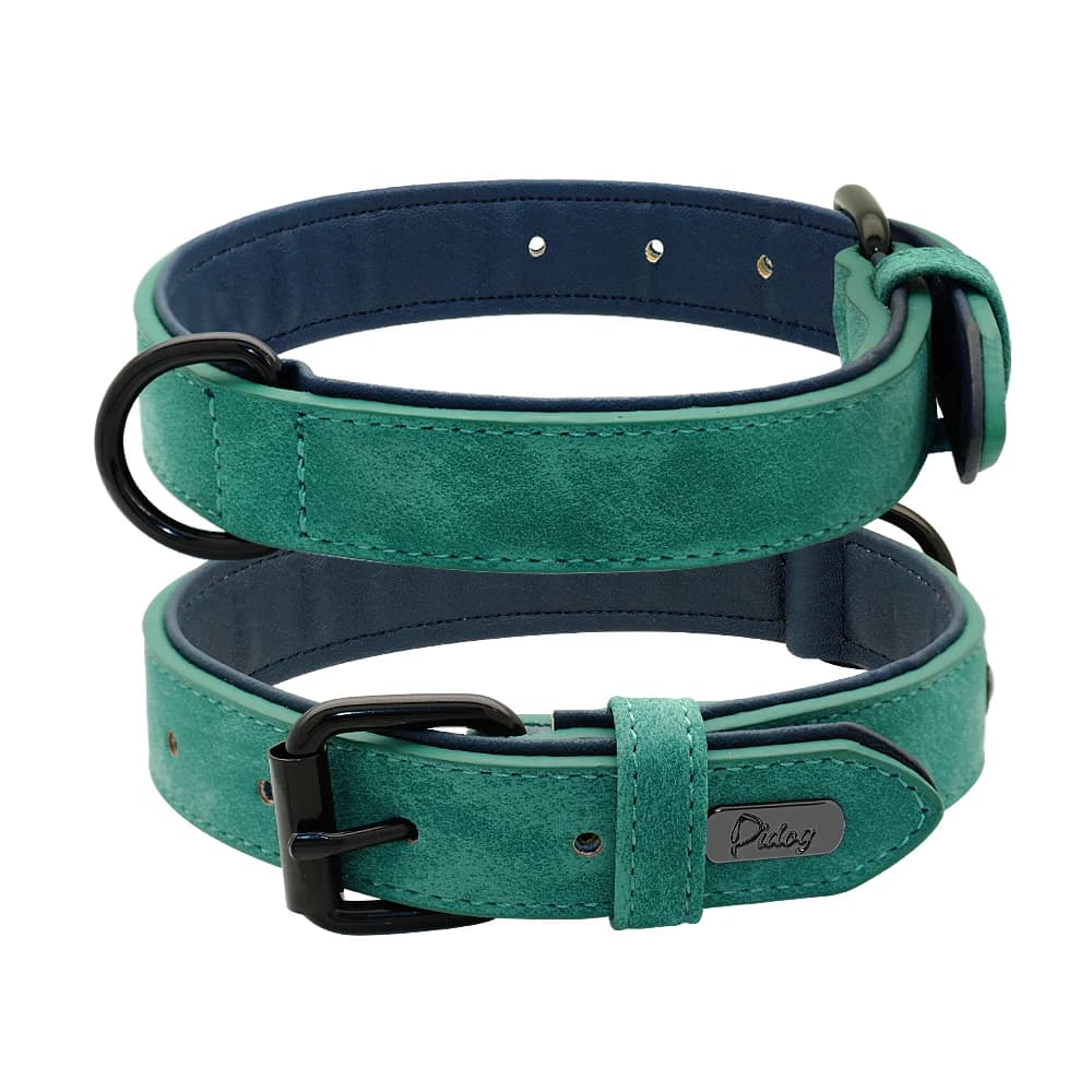 Collier de chien en cuir pour petits, moyens et grands chiens, doux, rembourré, grands colliers de c