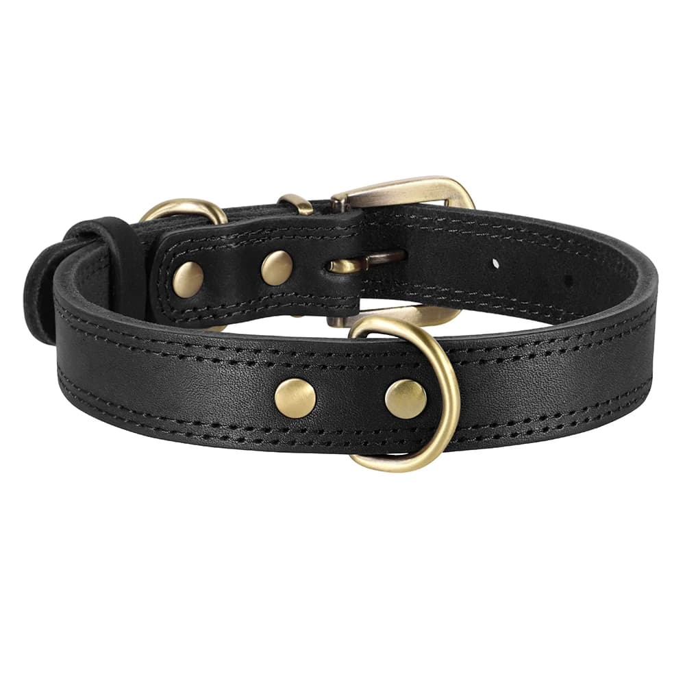 Collier pour chien en cuir véritable, durable, collier pour chiot en cuir véritable, collier pour an